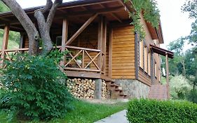Country House Kosiv